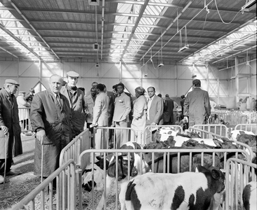 855731 Interieur van de veemarkthallen (Sartreweg 1) met een groepje Nederlandse veehouders met buitenlandse gasten bij ...